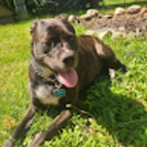 Meet your Posher, Jade